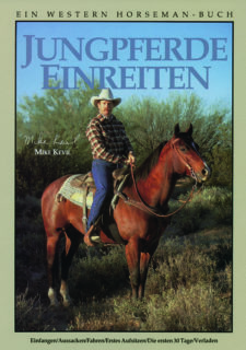 Jungpferde einreiten