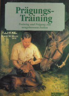Prägungstraining - Training und Prägung von neugeborenen Fohlen
