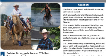 Andrea Rongelraths-Ganzer – Silent Corner – PLZ 39264