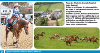 Appaloosa & QH Ranch – Christina Ottersbach – PLZ 53506