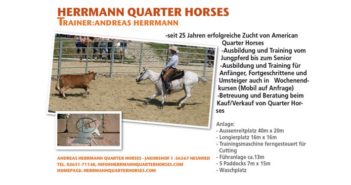 Herrmann Quarter Horses – PLZ 56567