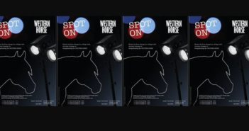 Setzen Sie Ihren Deckhengst ins richtige Licht!
