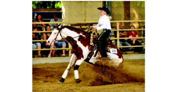 Angelika Gebert und Whiz A Lot Non Pro Champions bei der Austrian Futurity