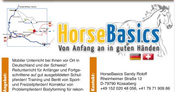 Horse Basics – Sandy Roloff -PLZ 79790
