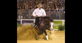 Spooks Gotta Whiz wurde Million-Dollar Sire