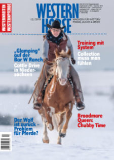 Dezember 2018 - ohne Versandkosten