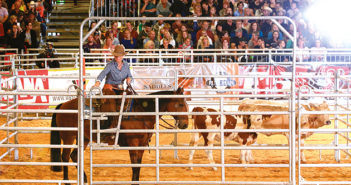 Americana 2019 – NEU: WORLD CUP RANCH RIDING NON-PRO