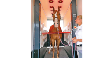 Equusir BEST-Box – sichtbar machen, was man sonst nicht sieht!