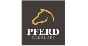Pferd Bodensee Ende Februar 2020 im Vierländereck